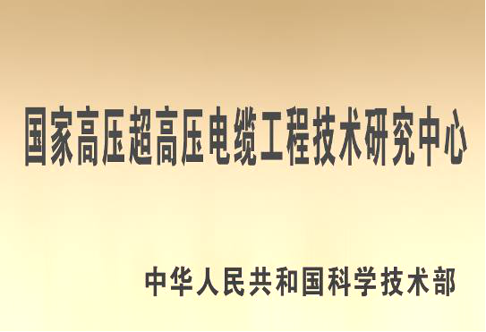 案例展示