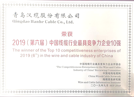 最具竞争力企业10强